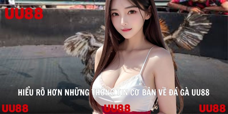 Hiểu rõ hơn những thông tin cơ bản về đá gà UU88